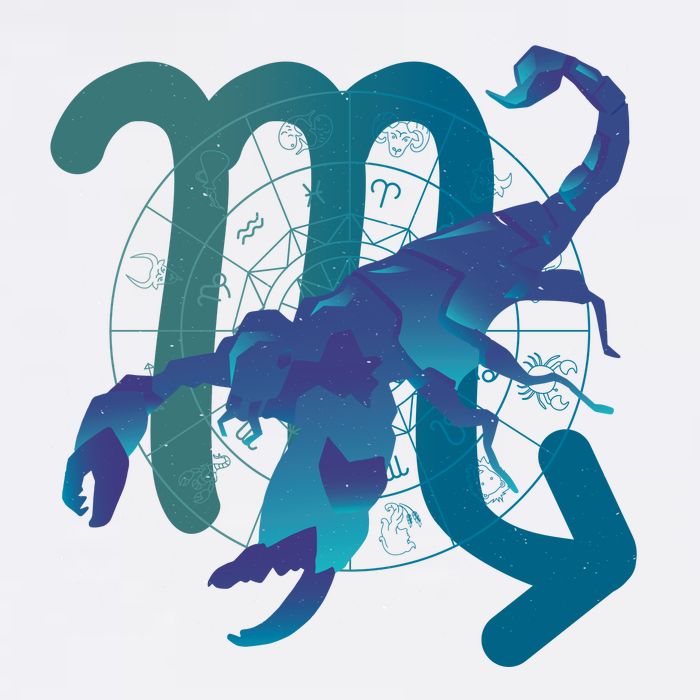 Scorpio Zodiac Symbol Cropped Pullover Crew