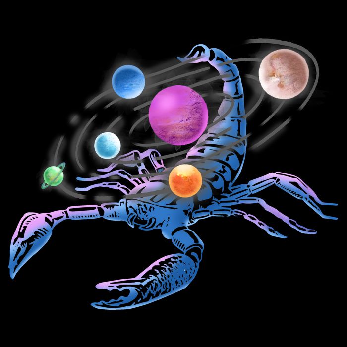 Scorpion Universe Womens T-Shirt
