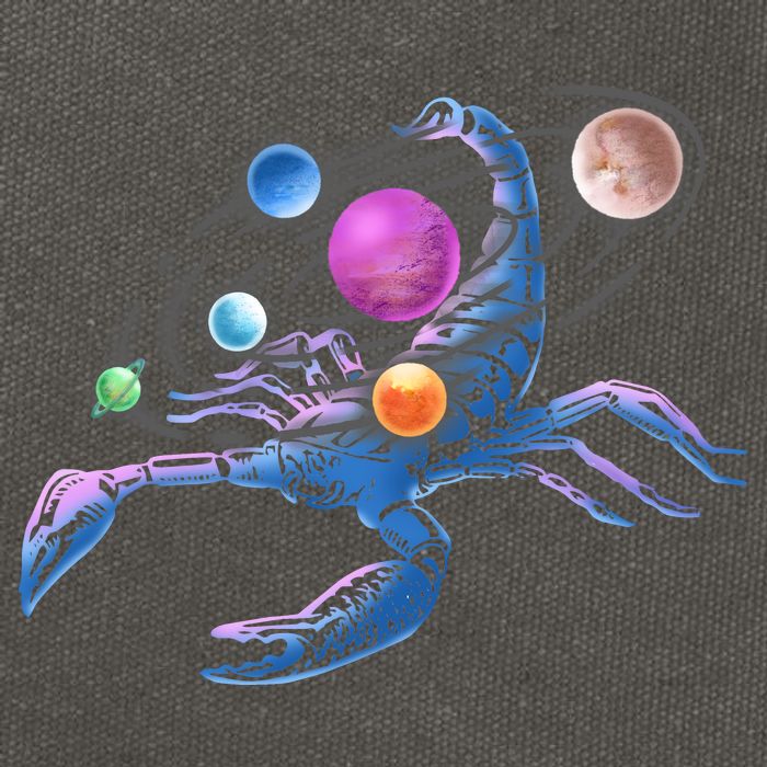 Scorpion Universe Cotton Canvas Backpack