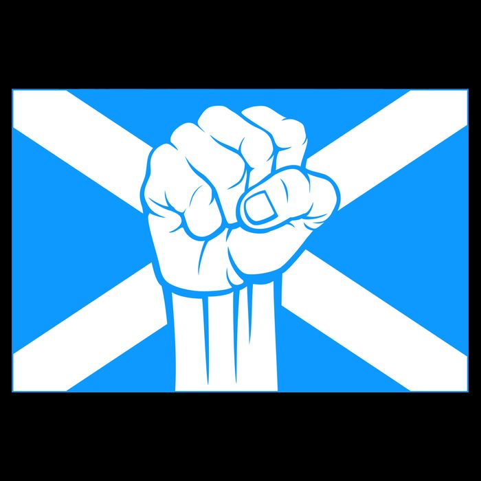 Scotland Power 16 in Basic Backpack
