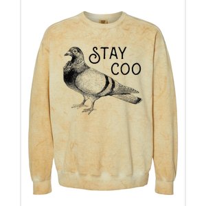 Stay Coo Pigeons Pigeon Breeder Colorblast Crewneck Sweatshirt