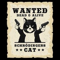 Schrodingers Cat Physics Paradox Quantum Mechanics Science Mousepad