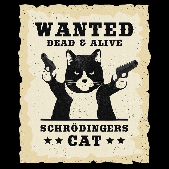 Schrodingers Cat Physics Paradox Quantum Mechanics Science Mousepad