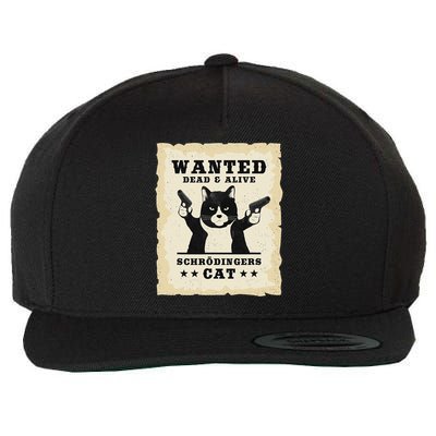 Schrodingers Cat Physics Paradox Quantum Mechanics Science Wool Snapback Cap
