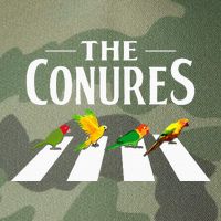 Sun Conure Parrot Pedestrian Design For A Conure Owner Legacy Tie Dye Trucker Hat