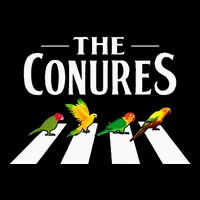 Sun Conure Parrot Pedestrian Design For A Conure Owner Backpack