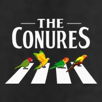 Sun Conure Parrot Pedestrian Design For A Conure Owner Premium Pullover Hoodie
