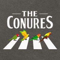 Sun Conure Parrot Pedestrian Design For A Conure Owner Cotton Canvas Backpack