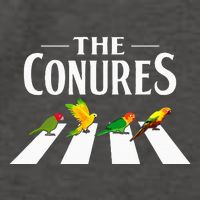 Sun Conure Parrot Pedestrian Design For A Conure Owner Vector Backpack