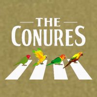 Sun Conure Parrot Pedestrian Design For A Conure Owner Garment-Dyed Women's Muscle Tee