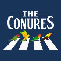 Sun Conure Parrot Pedestrian Design For A Conure Owner Infant Baby Jersey Bodysuit