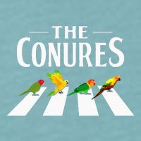 Sun Conure Parrot Pedestrian Design For A Conure Owner Sueded Cloud Jersey T-Shirt
