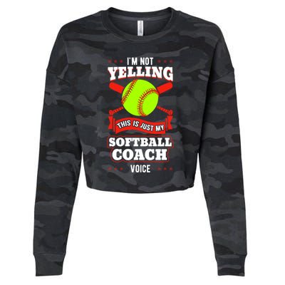 Softball Coach Pitcher Trainer Bat Ball Baseball Lover Gift Cropped Pullover Crew