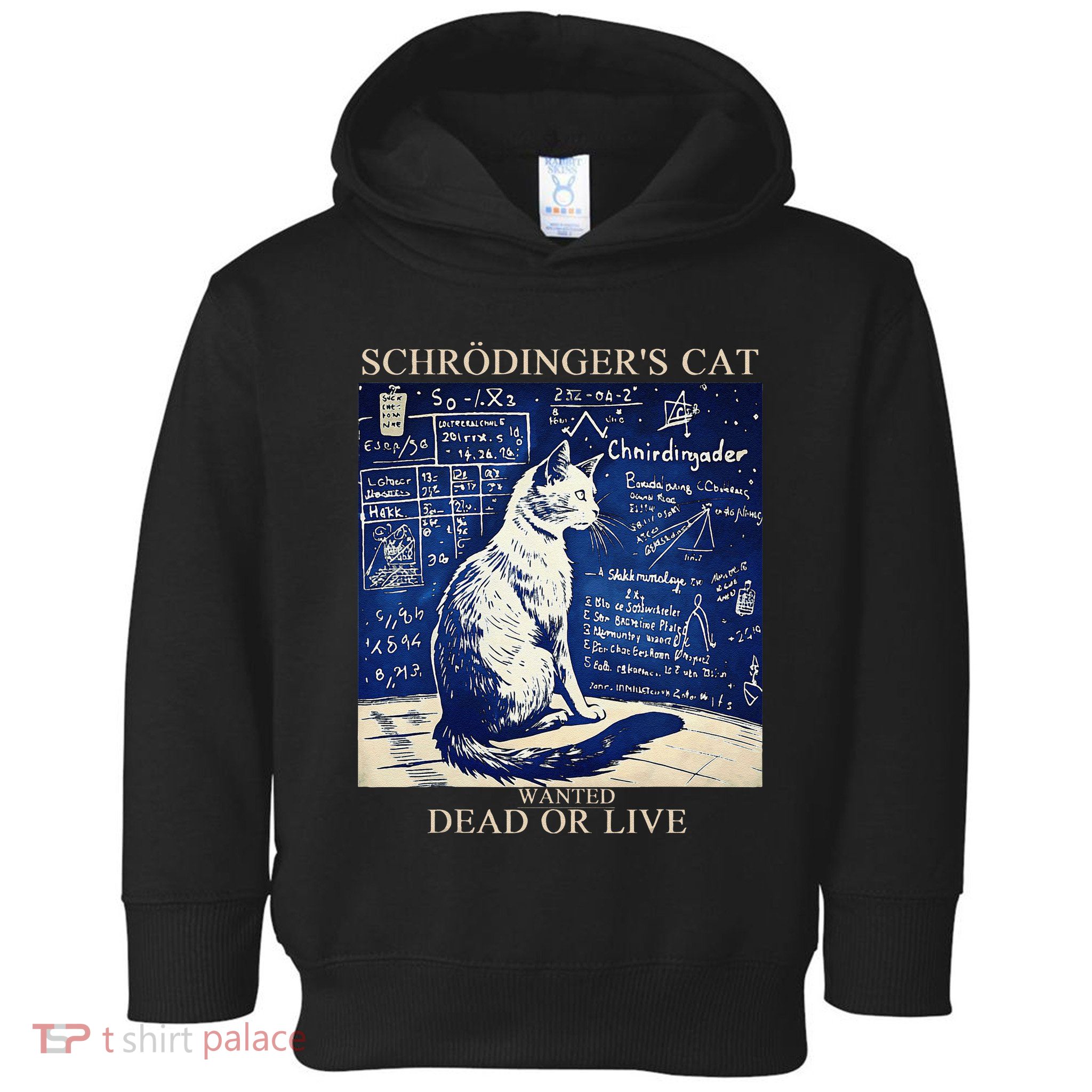 SchröDingerS Cat Quantum Physics Humor Toddler Hoodie