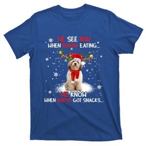 Santa Cavachon Reindeer Light Christmas Pajama Gift T-Shirt