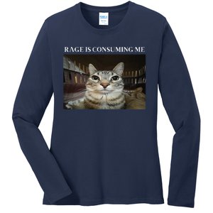 Silly Cat Rage Is Consuming Me Cat Ladies Long Sleeve Shirt