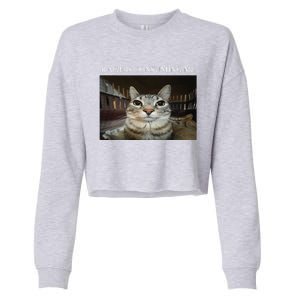 Silly Cat Rage Is Consuming Me Cat Cropped Pullover Crew