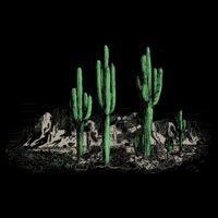 Saguaro Cactus Retro Desert Saguaro Cactus Western Nature Gift Cooling Performance Crew T-Shirt