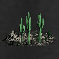Saguaro Cactus Retro Desert Saguaro Cactus Western Nature Gift Adult Drive Performance Visor