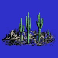 Saguaro Cactus Retro Desert Saguaro Cactus Western Nature Gift Womens T-Shirt