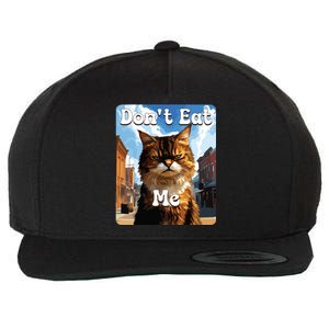 Sad Cat Resistance DonT Eat Me Advocacy Wool Snapback Cap