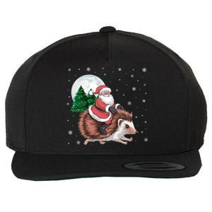 Santa Claus Riding Hedgehog Funny Christmas Tree Lights Cute Gift Wool Snapback Cap