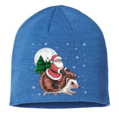 Santa Claus Riding Hedgehog Funny Christmas Tree Lights Cute Gift Sustainable Beanie