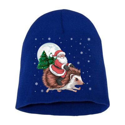 Santa Claus Riding Hedgehog Funny Christmas Tree Lights Cute Gift Short Acrylic Beanie