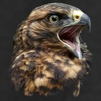 Screaming Hawk Wildlife Garment-Dyed Heavyweight T-Shirt