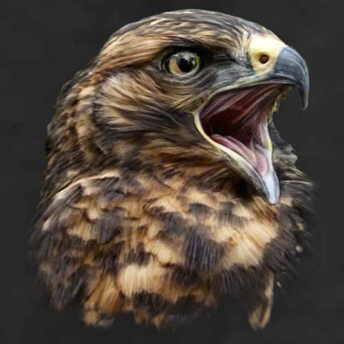 Screaming Hawk Wildlife Garment-Dyed Heavyweight T-Shirt