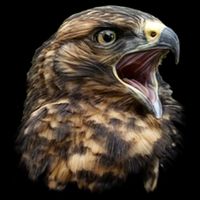 Screaming Hawk Wildlife Bucket Hat