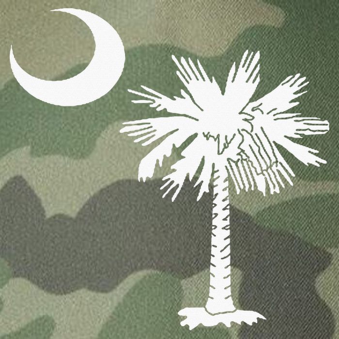 South Carolina State Flag Palmetto Tree Crescent Moon Sc Legacy Tie Dye Trucker Hat