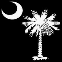 South Carolina State Flag Palmetto Tree Crescent Moon Sc 16 in Basic Backpack