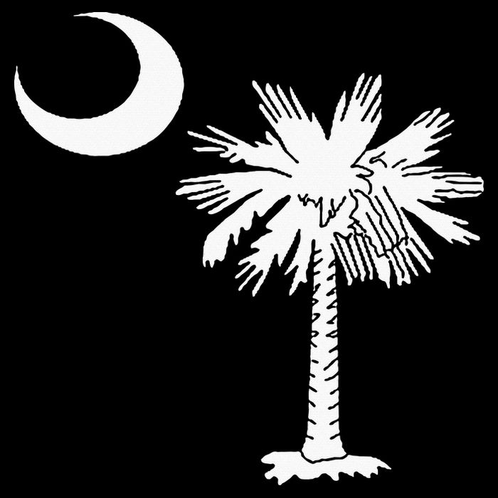 South Carolina State Flag Palmetto Tree Crescent Moon Sc 16 in Basic Backpack