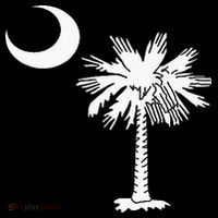 South Carolina State Flag Palmetto Tree Crescent Moon Sc Sustainable Knit Beanie