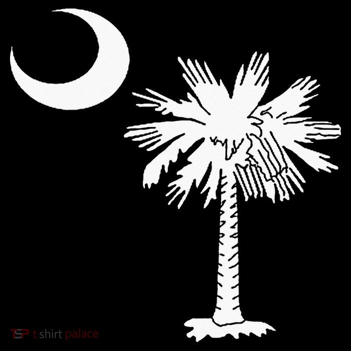 South Carolina State Flag Palmetto Tree Crescent Moon Sc Pom Pom 12in Knit Beanie