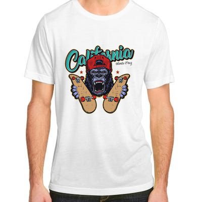 Santa Cruz Skateboard California Skateboard Street Wear Adult ChromaSoft Performance T-Shirt