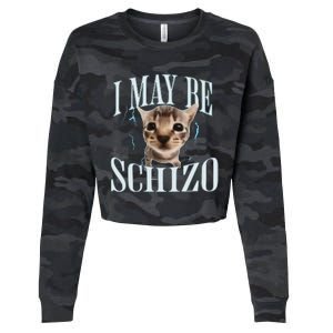 Silly Cat Cropped Pullover Crew