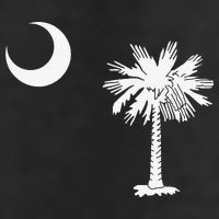 South Carolina State Flag Palmetto Moon SC Pride Golf Towel