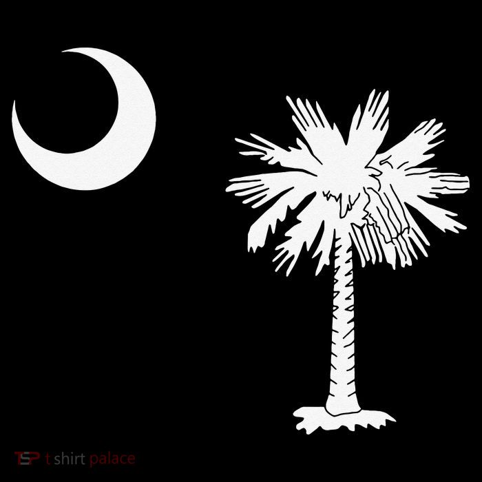 South Carolina State Flag Palmetto Moon SC Pride Womens T-Shirt