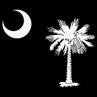 South Carolina State Flag Palmetto Moon SC Pride Wool Snapback Cap