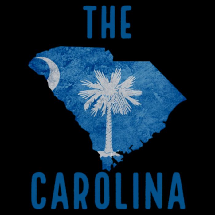 South Carolina Cooling Performance Crew T-Shirt