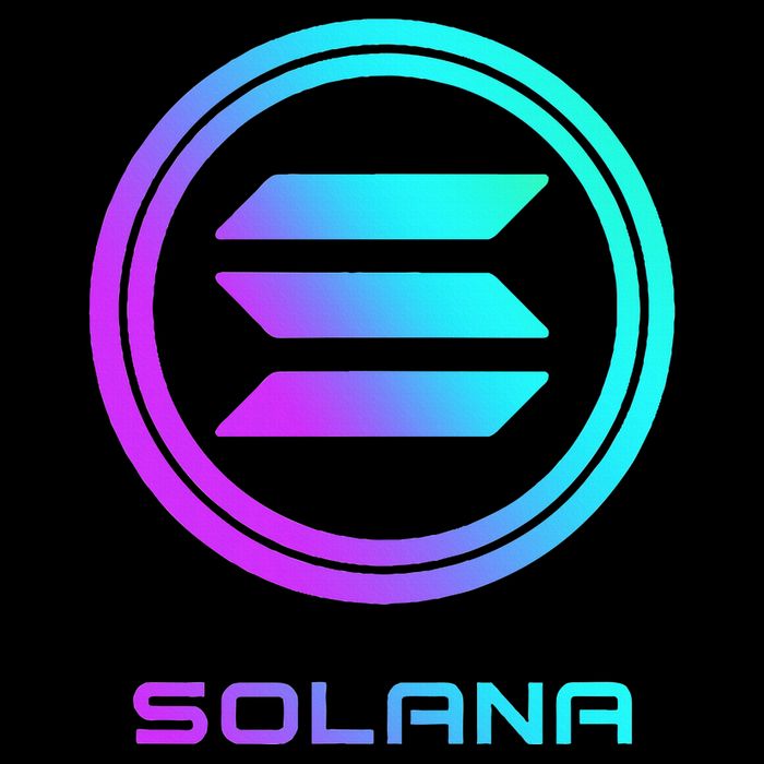 Solana Crypto Sol Coin Blockchain Decentralized Application 16 in Basic Backpack