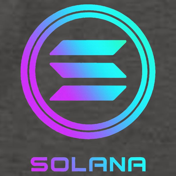 Solana Crypto Sol Coin Blockchain Decentralized Application Vector Backpack