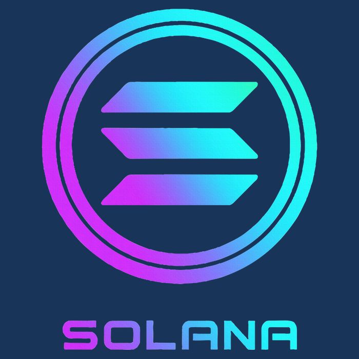 Solana Crypto Sol Coin Blockchain Decentralized Application Infant Baby Jersey Bodysuit