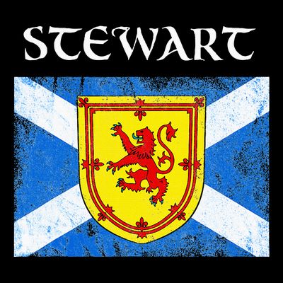 Stewart Clan Scottish Name Scotland Flag T-Shirt