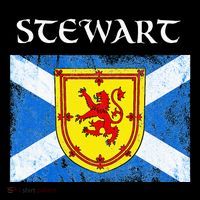 Stewart Clan Scottish Name Scotland Flag Tall T-Shirt