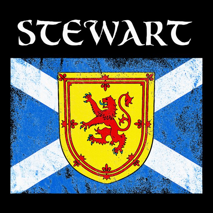 Stewart Clan Scottish Name Scotland Flag Wool Snapback Cap