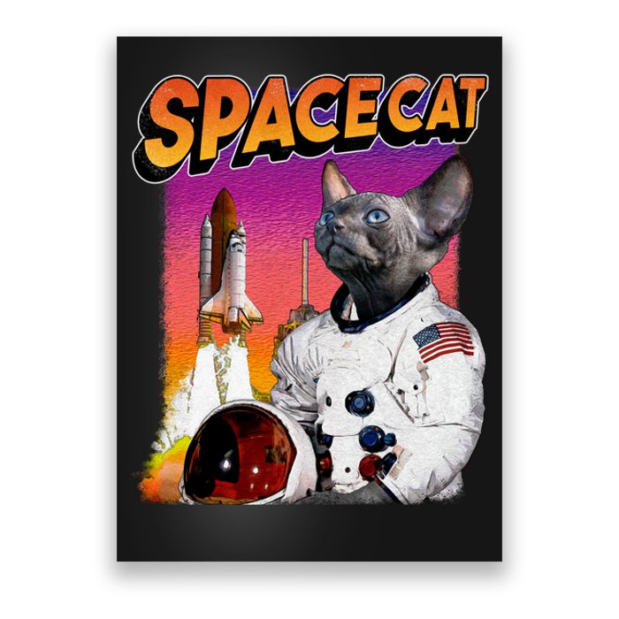 Space Cat Poster