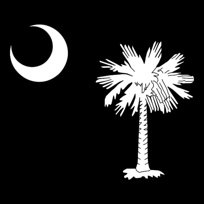 South Carolina State Flag Palmetto Moon Sc Pride Cooling Performance Crew T-Shirt